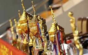 球星赛后把奖杯给队友，太暖心