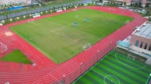 巴西双塔玻璃之殇！米利唐与布雷默难逃伤病魔爪，近年连续重伤